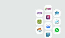 WP plugins