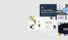 Wp Themes